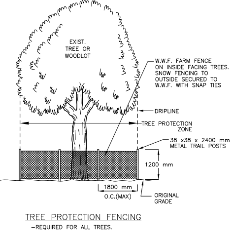 Tree Protection Example Image showing typical tree protection materials used around the drip line of a tree in a construction zone.