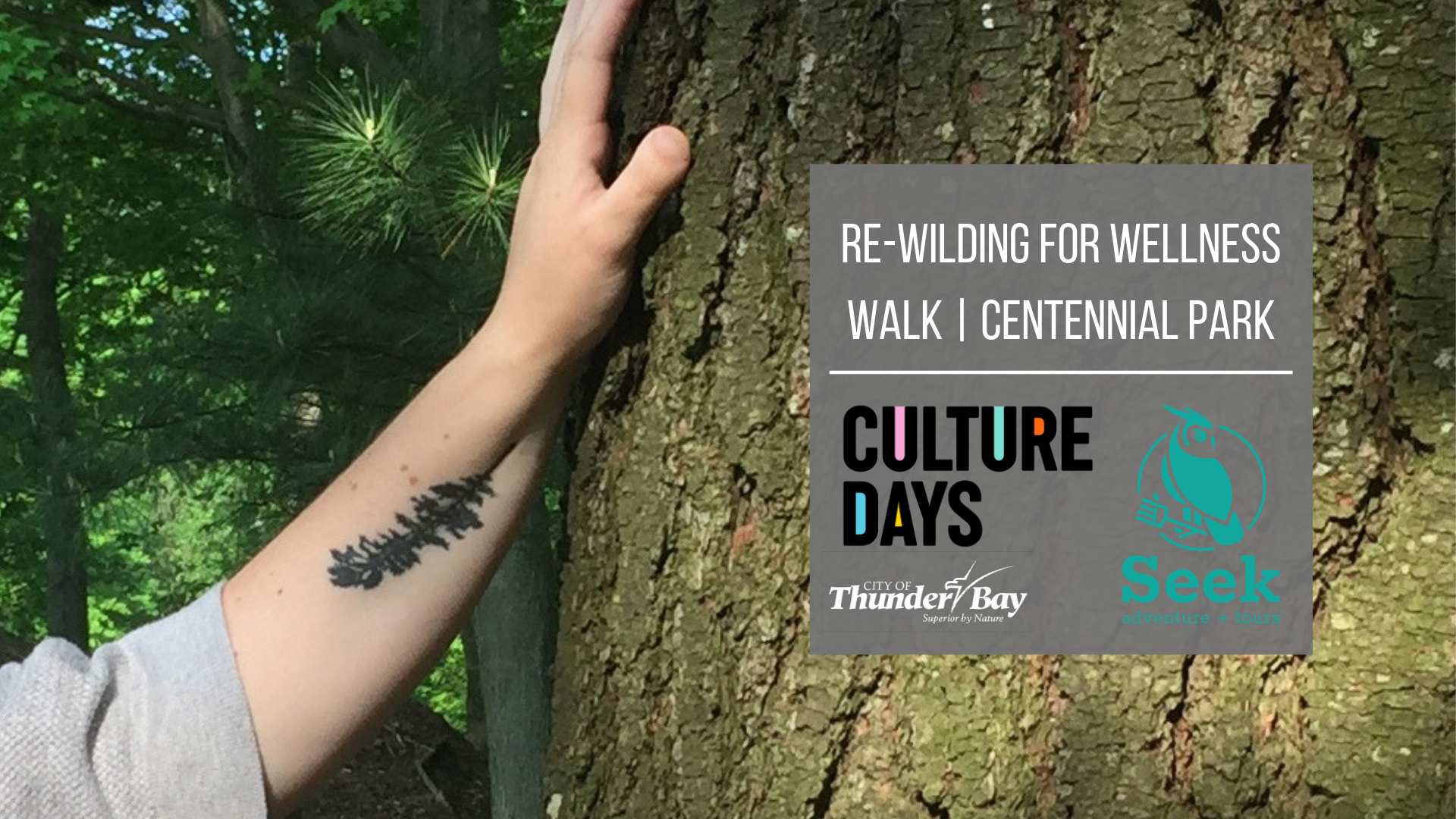 re-wilding for wellness walk hand against a tree with title of walk overlayed